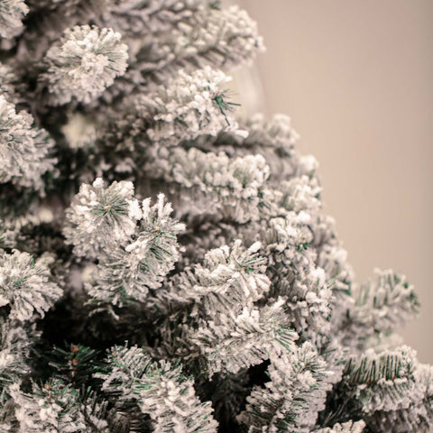 Árvore Alpina Verde Nevada