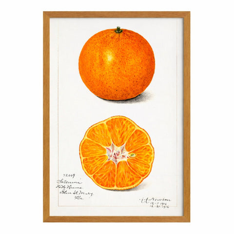 Quadro Laranja vintage – Westwing
